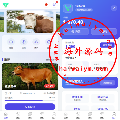 多语言养殖投资系统/养牛投资返利/签到/前端VUE